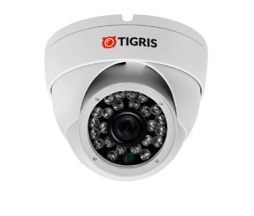 Tigris TGB-IPVP05 Антивандальная IP-камера видеонаблюдения